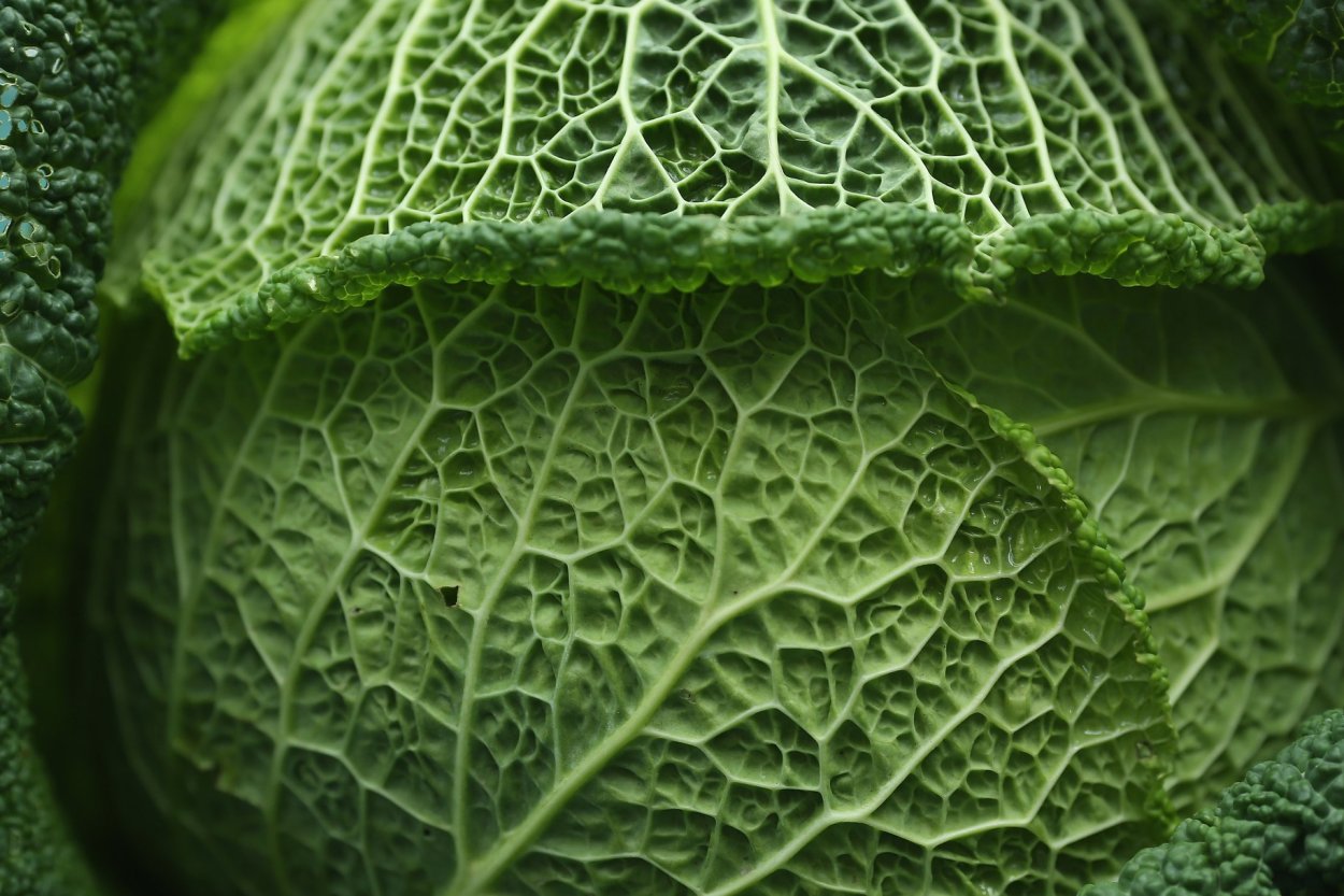 Капуста брокколи романеско