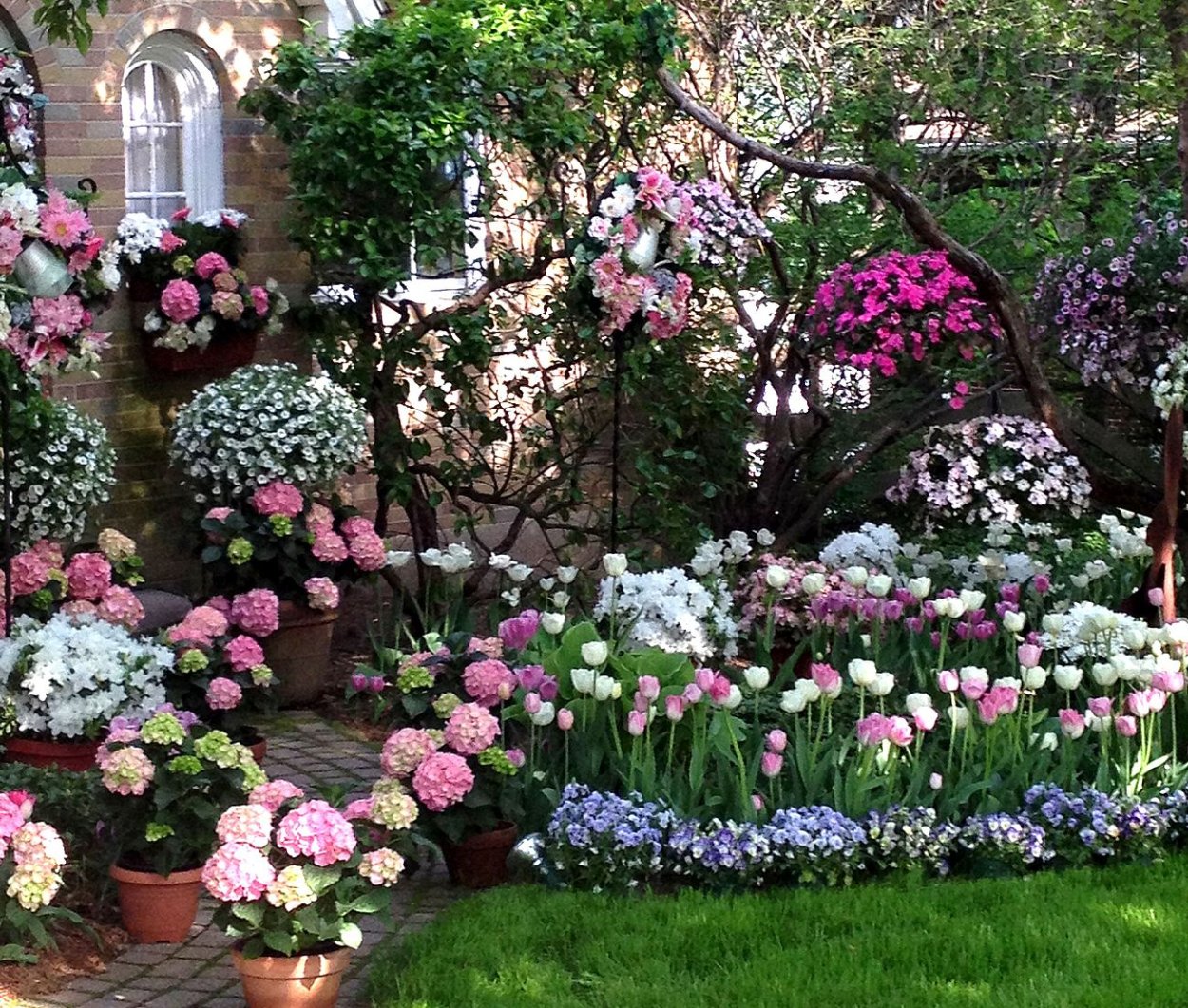 Люпин и дельфиниум