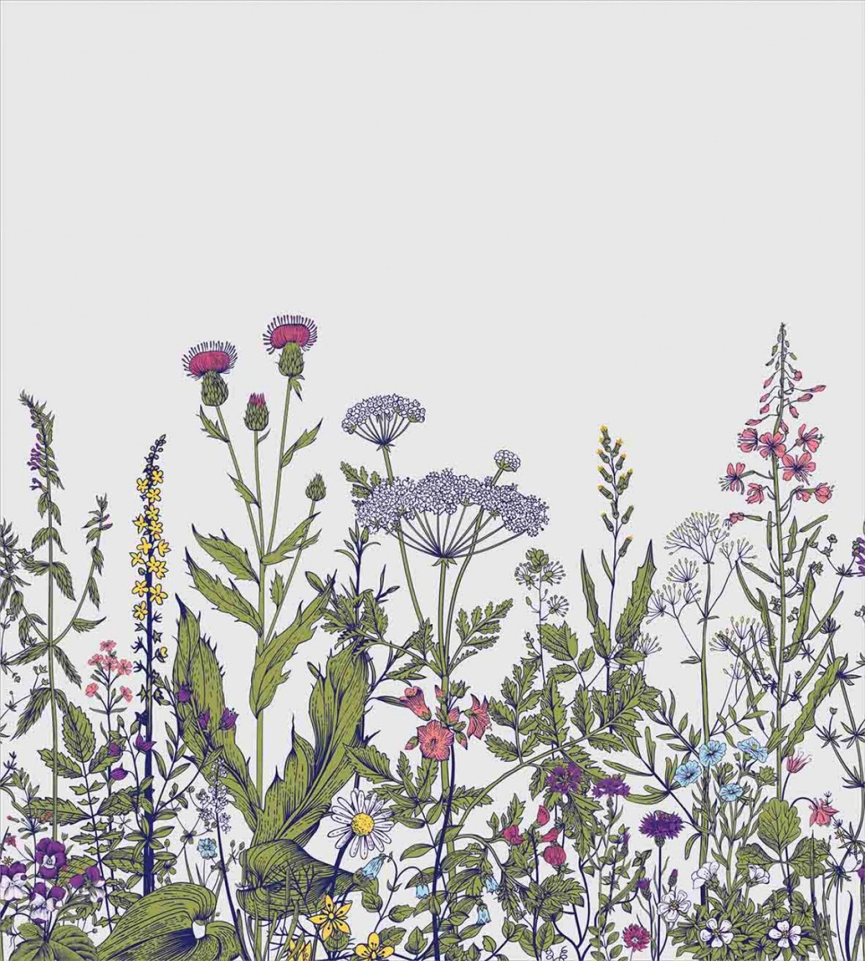 Полевые цветы Эстетика