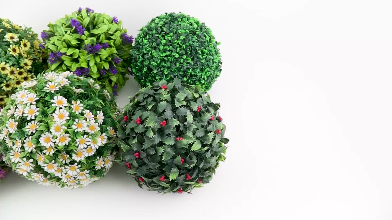 Кусты для сада