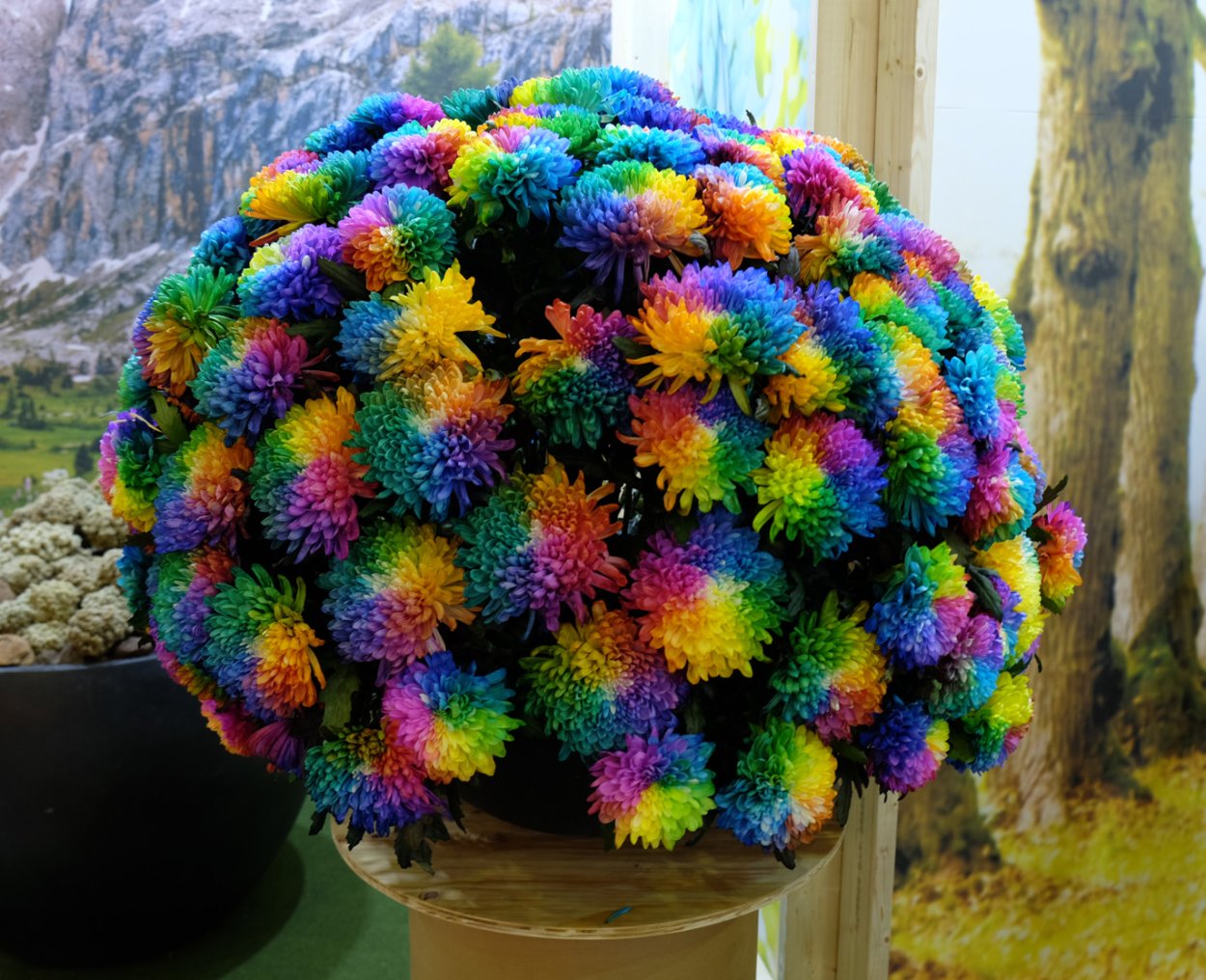 Цветочные композиции на клумбе