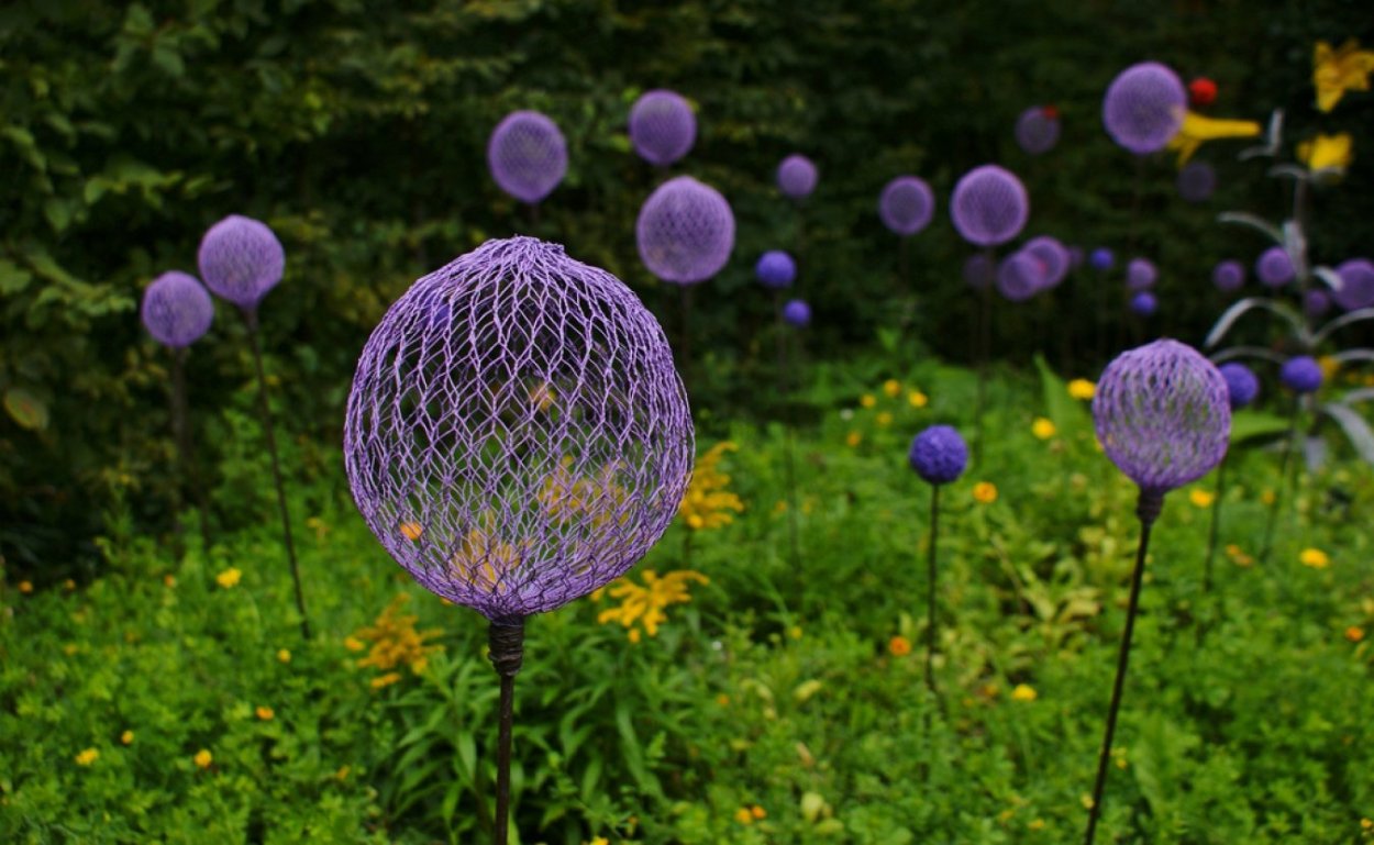 Астра китайская стэнди