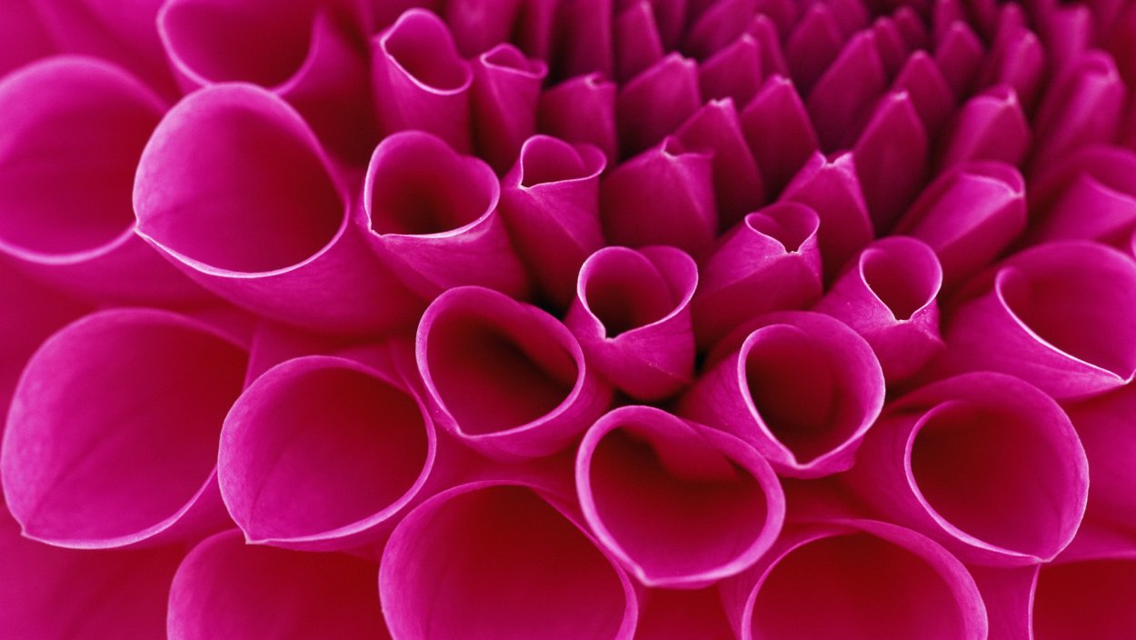 Prestigio ptv32sn02z