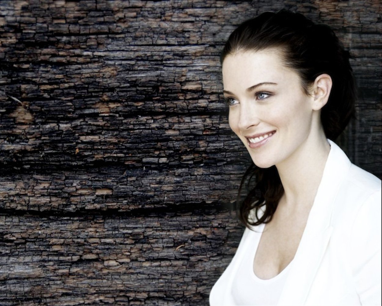 Орегано приправа фото как растет