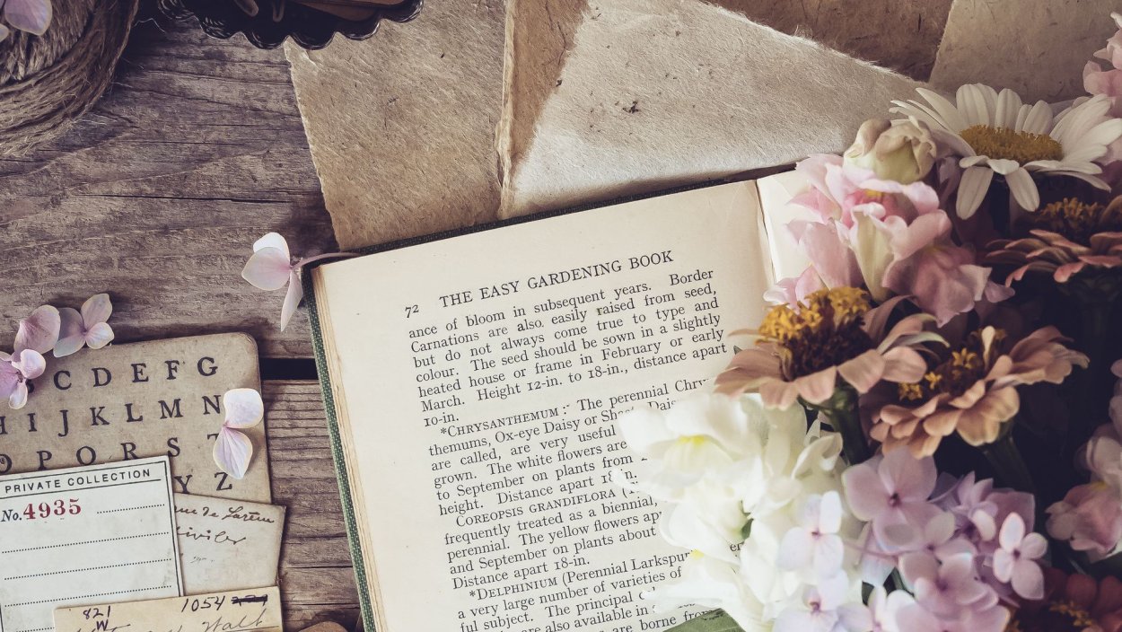 Растения Эстетика