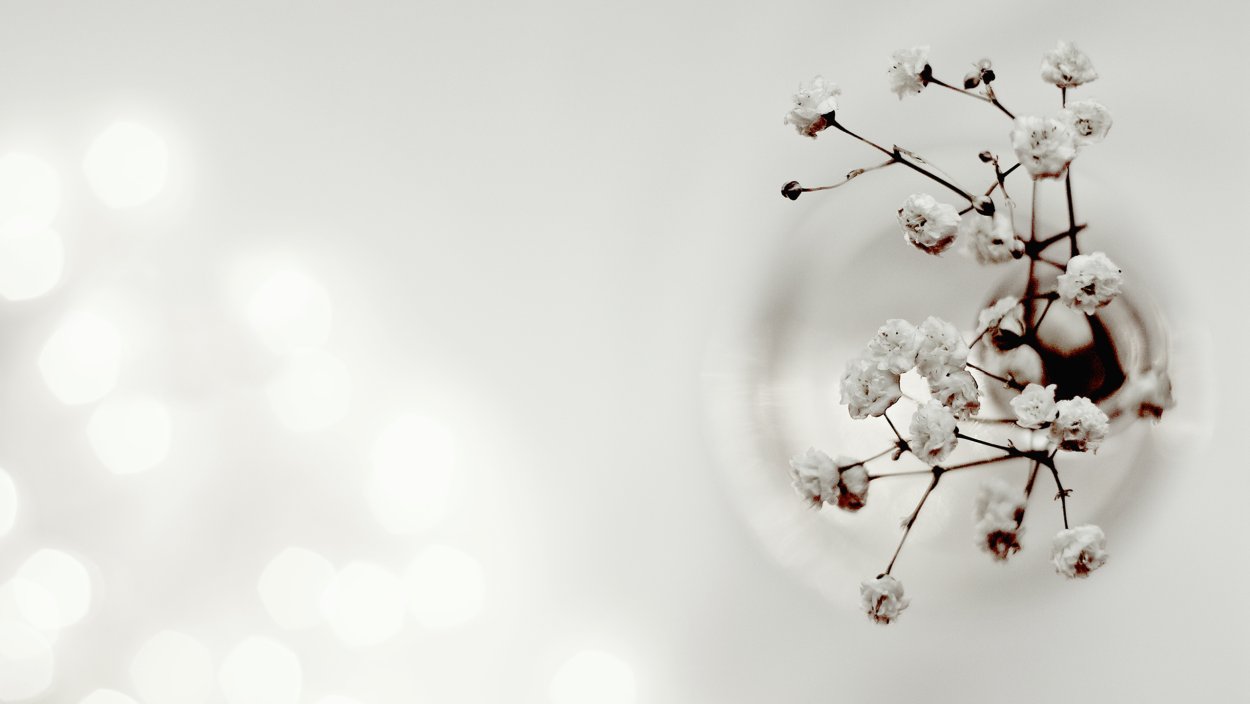 Сухоцветы Минимализм