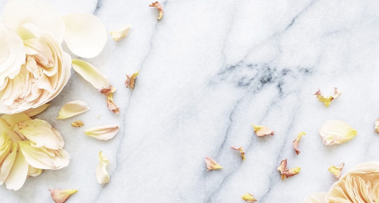 Лепестки Сакуры аниме