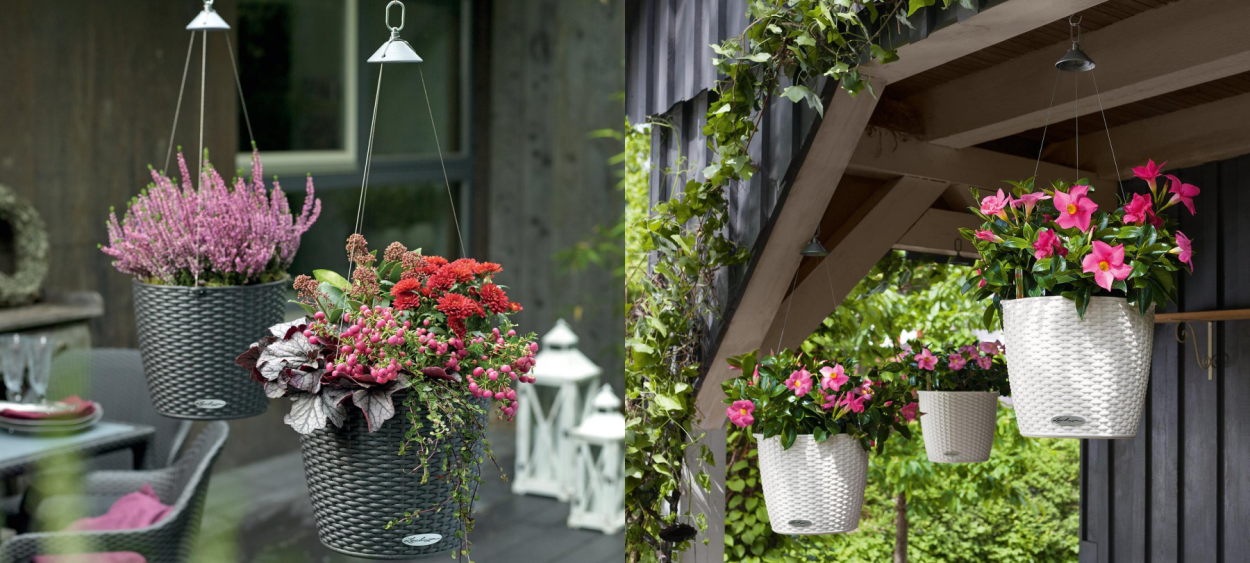 Подвесное Озеленение