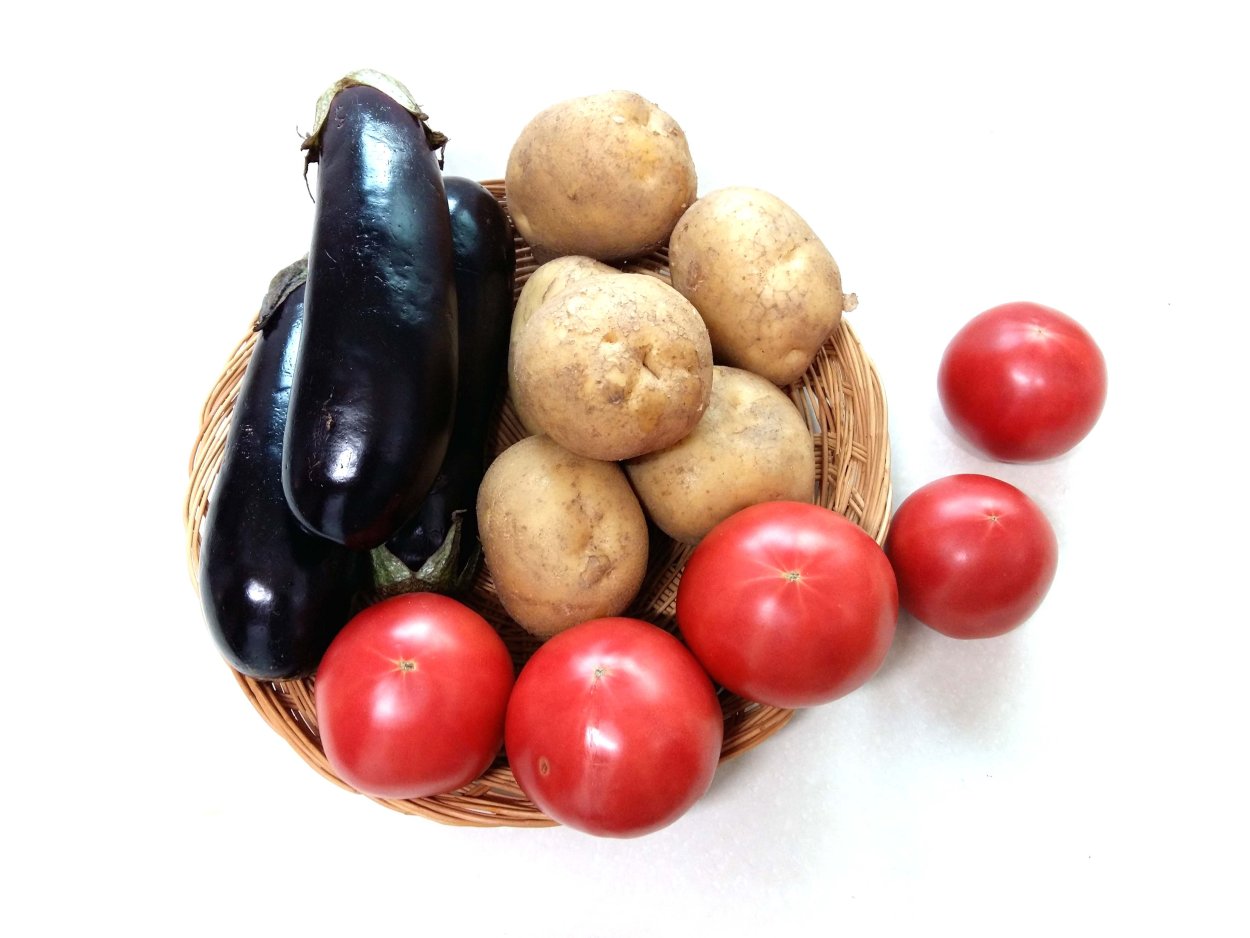 Картофель Solanum tuberosum