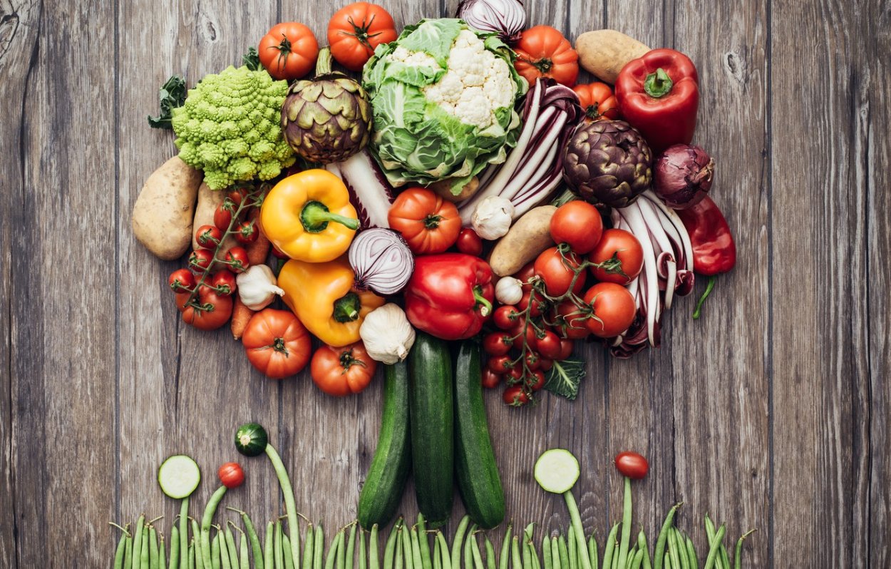 Сорта культурных растений сорта культурных растений