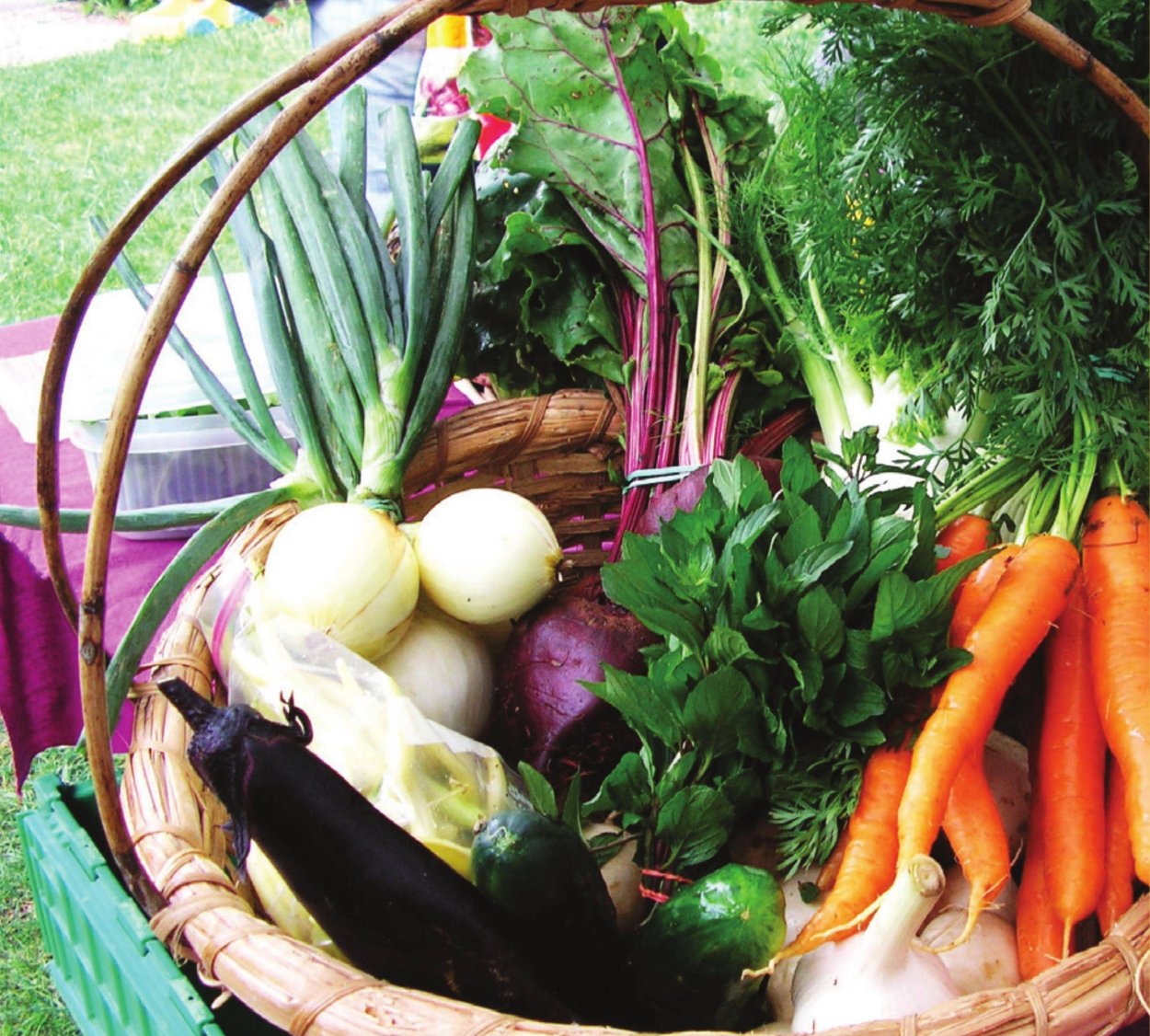 Корнеплодные и КЛУБНЕПЛОДНЫЕ овощи