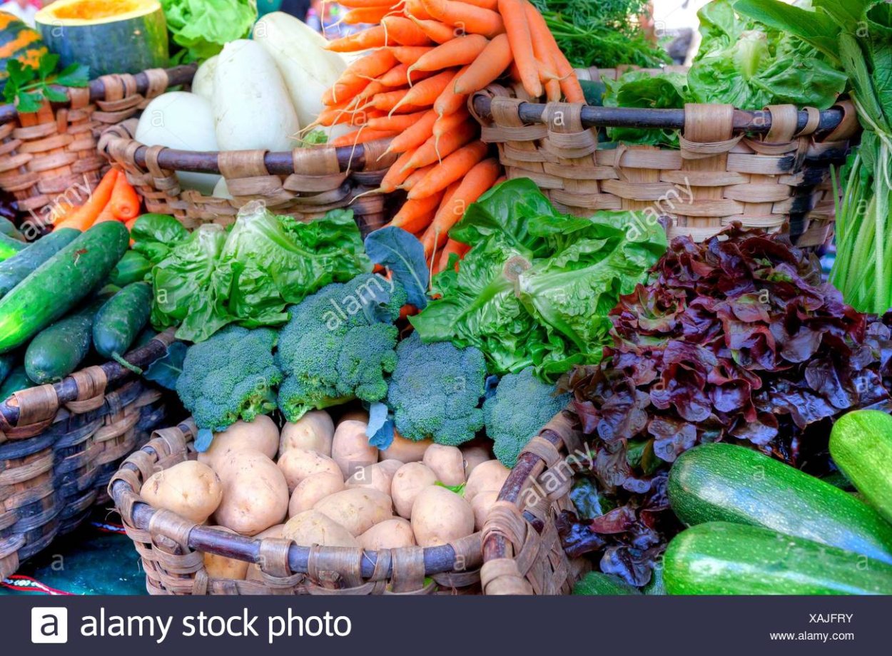 Овощные культурные растения