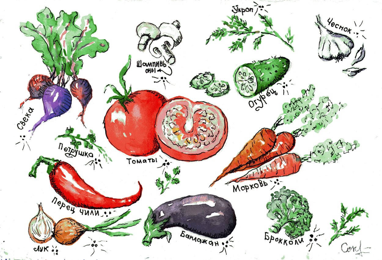 Однолетние двулетние