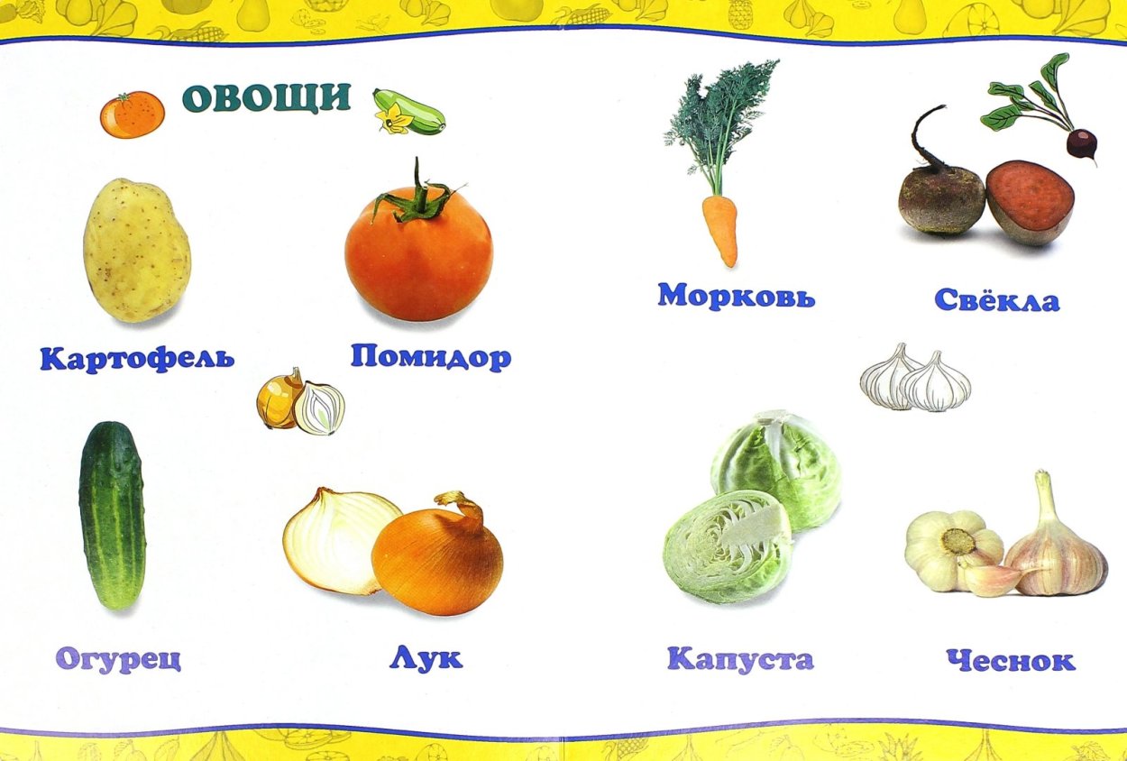 Овощные культурные растения