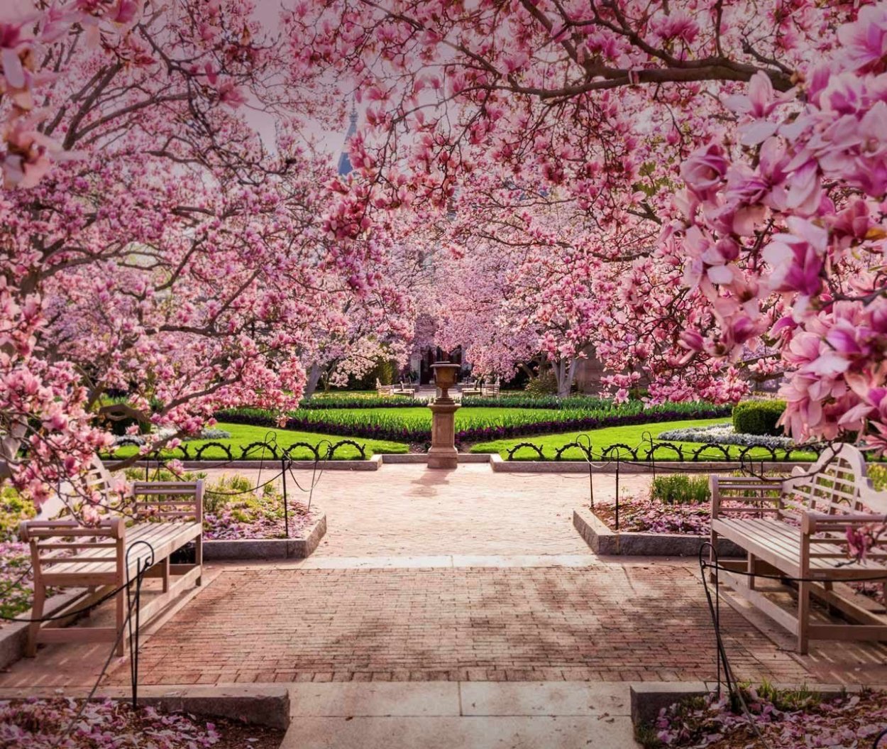 Цветущий сад