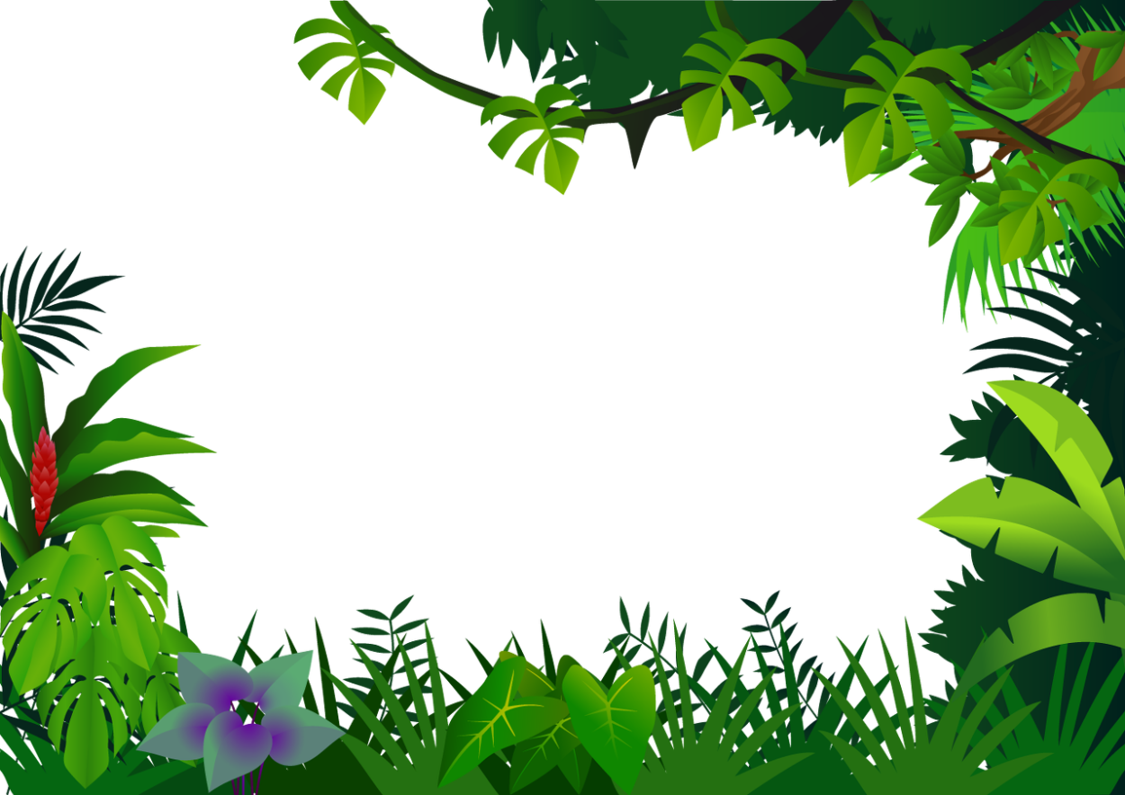 Джунгли Инстаграм