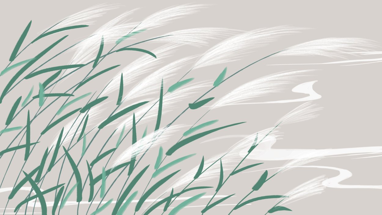 Просо Panicum virgatum Northwind