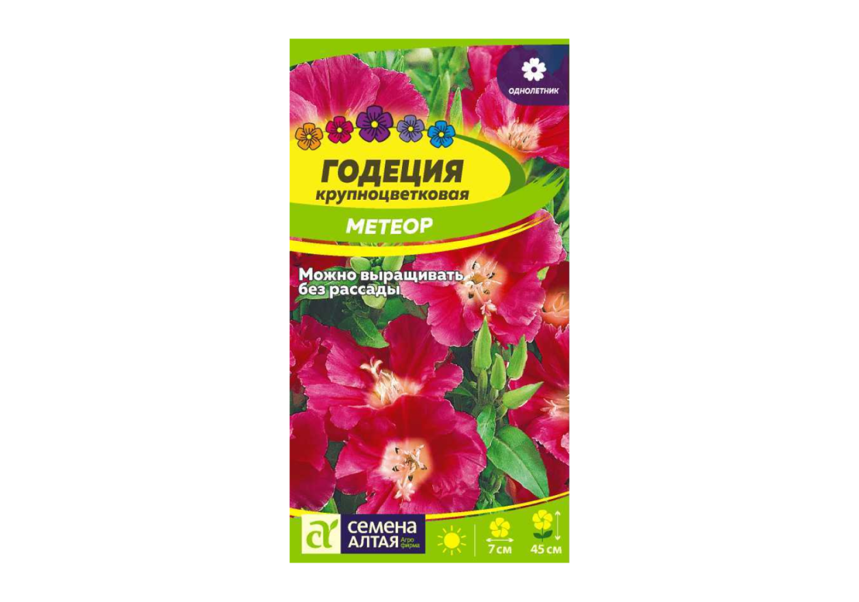Годеция Метеор крупноцветковая Аэлита