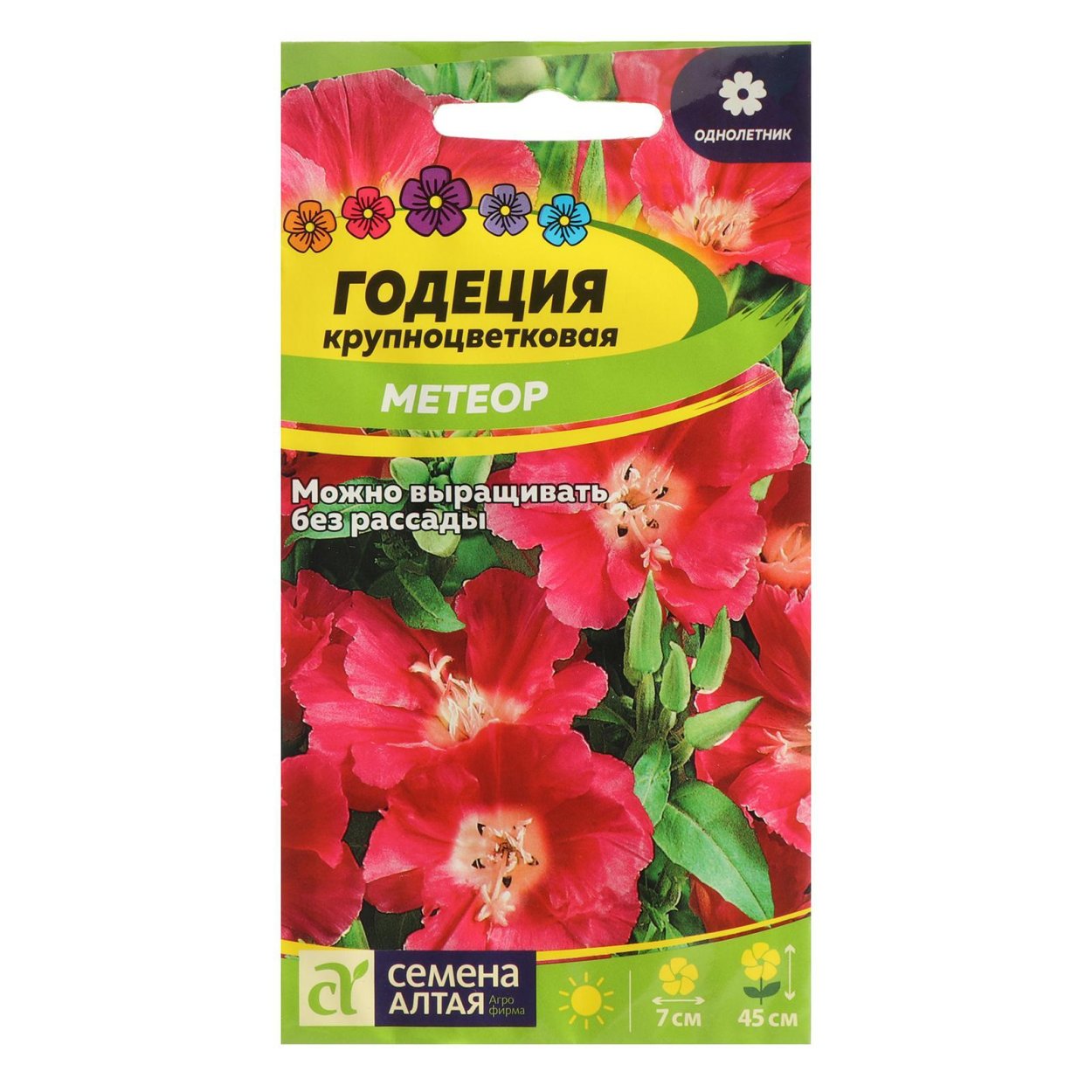 Годеция Рубикунда