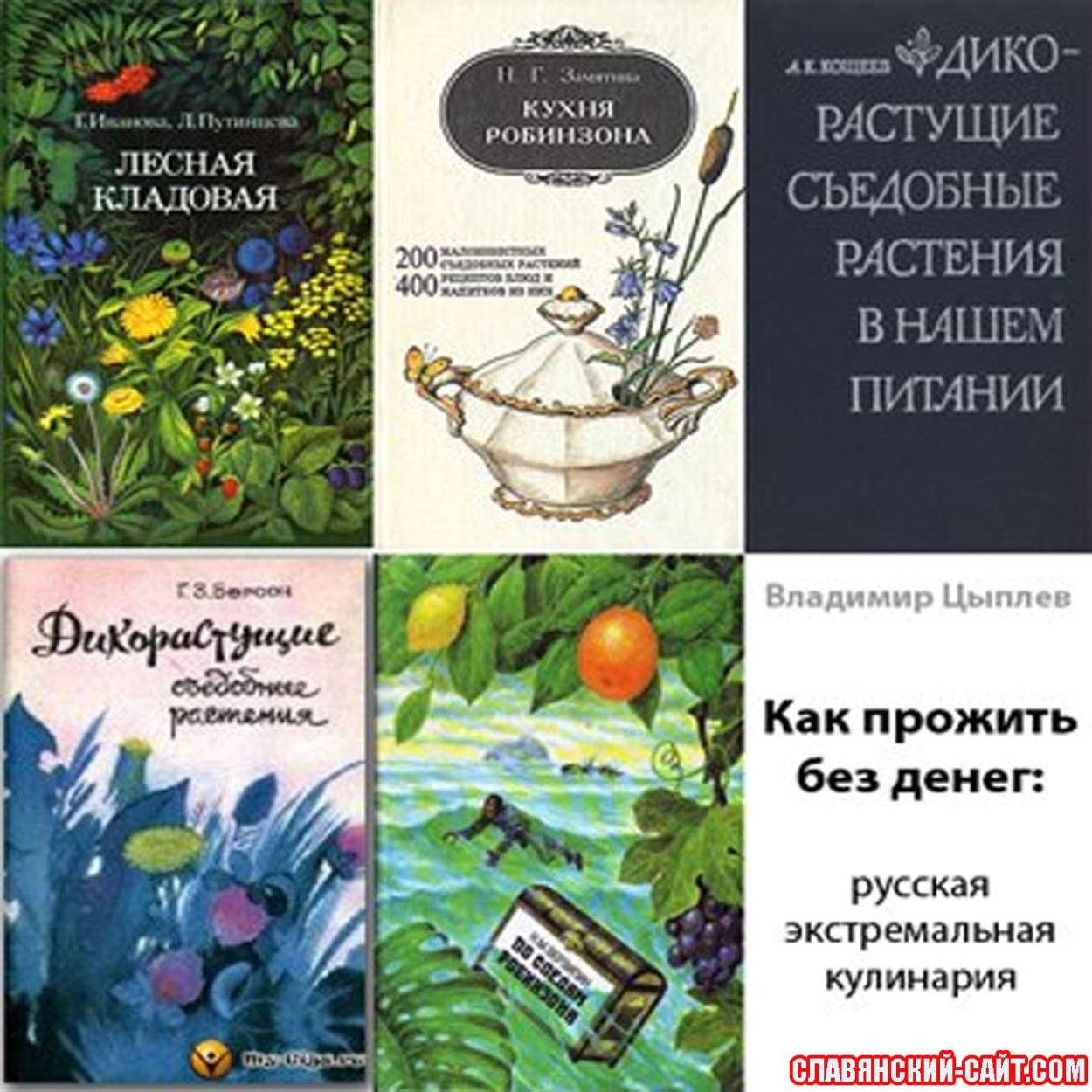 Дикорастущие съедобные растения книга