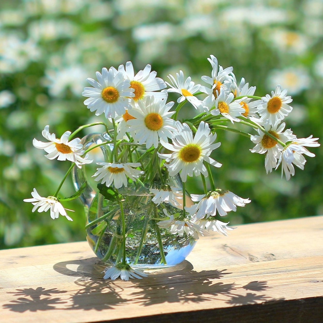 Убежать бы в даль в Ромашковое лето