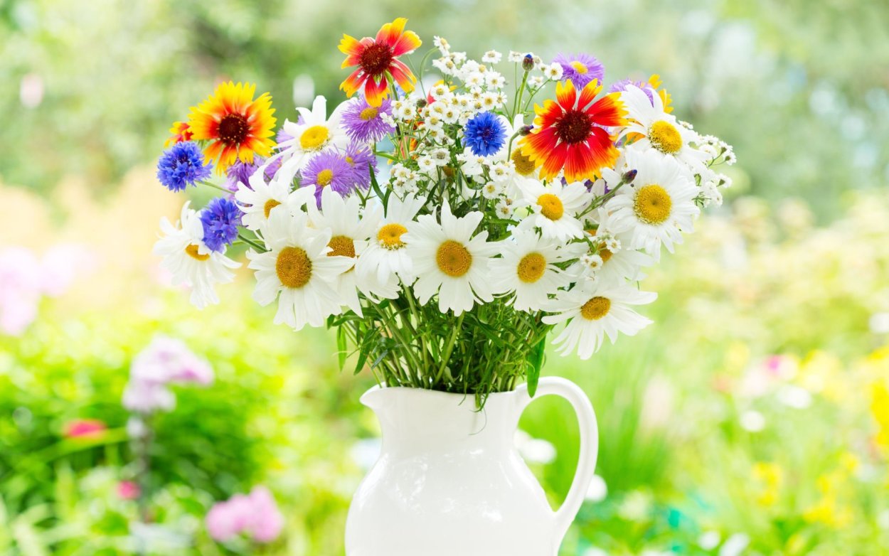 Полевые цветы