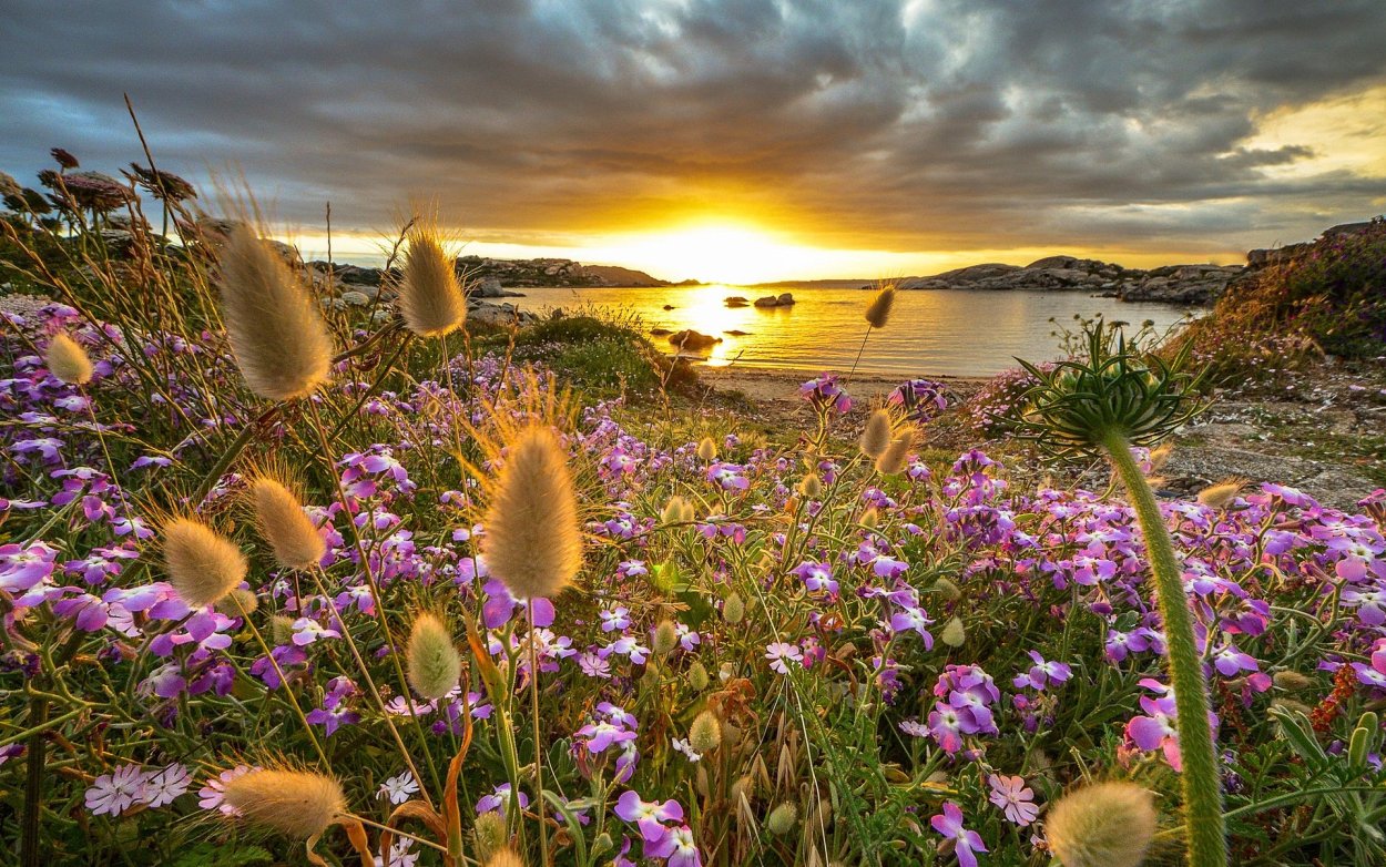 Лето солнце красота