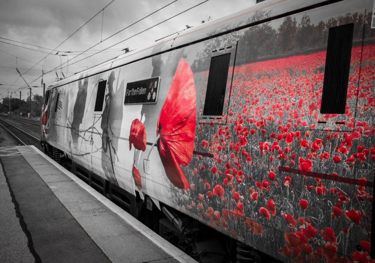 Цветы на рельсах