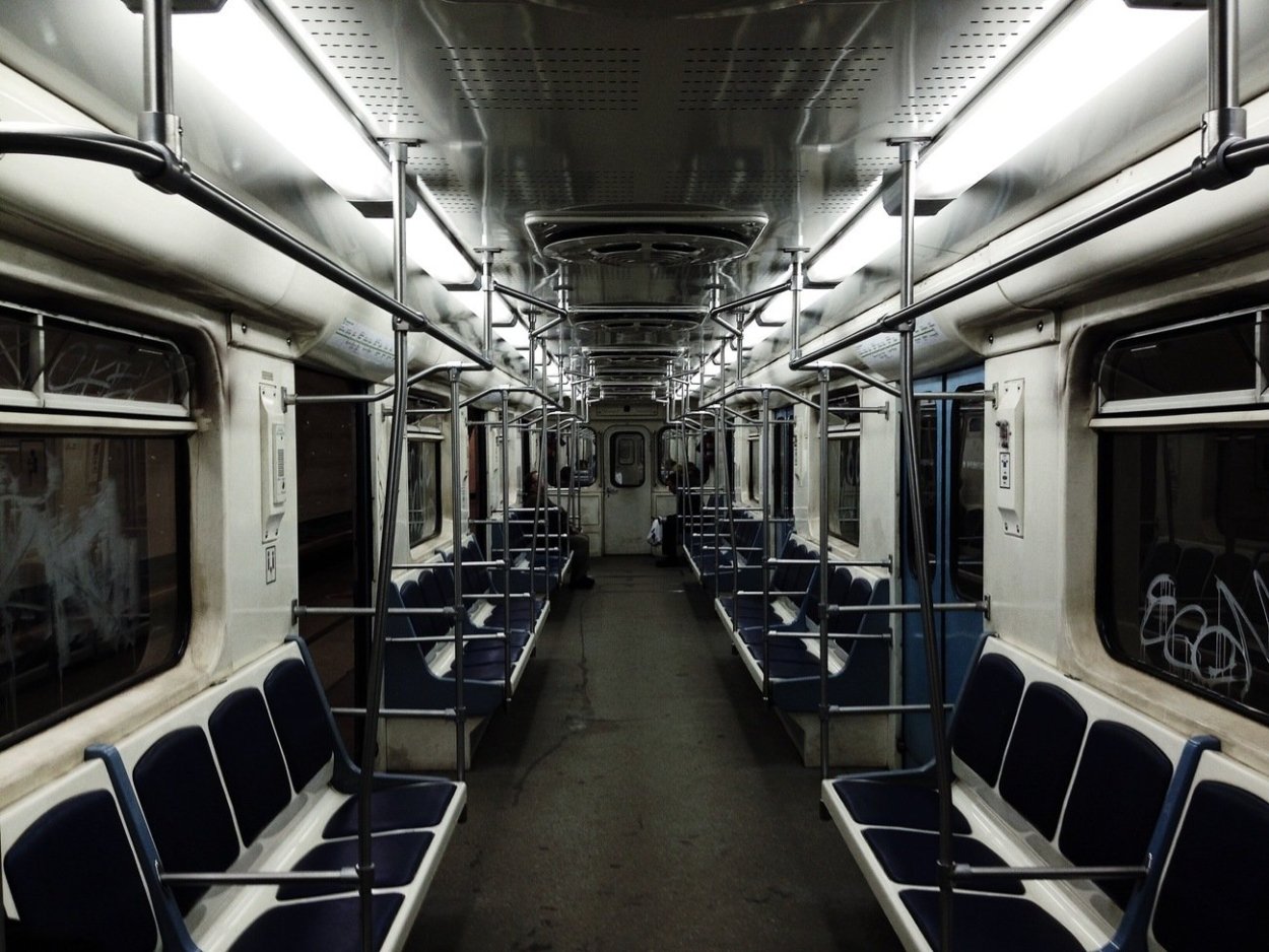 Цветы для высадки в телегу