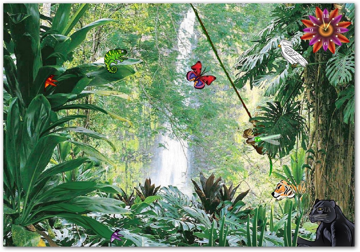 Вечнозеленые тропические леса Африки