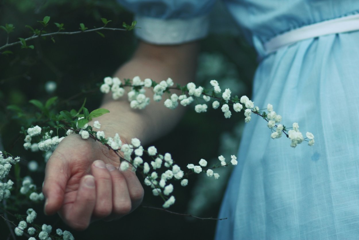 Необычные розы