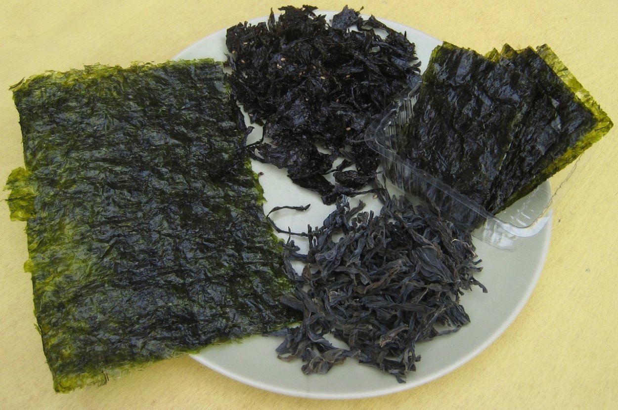 Морская ламинария сушеная