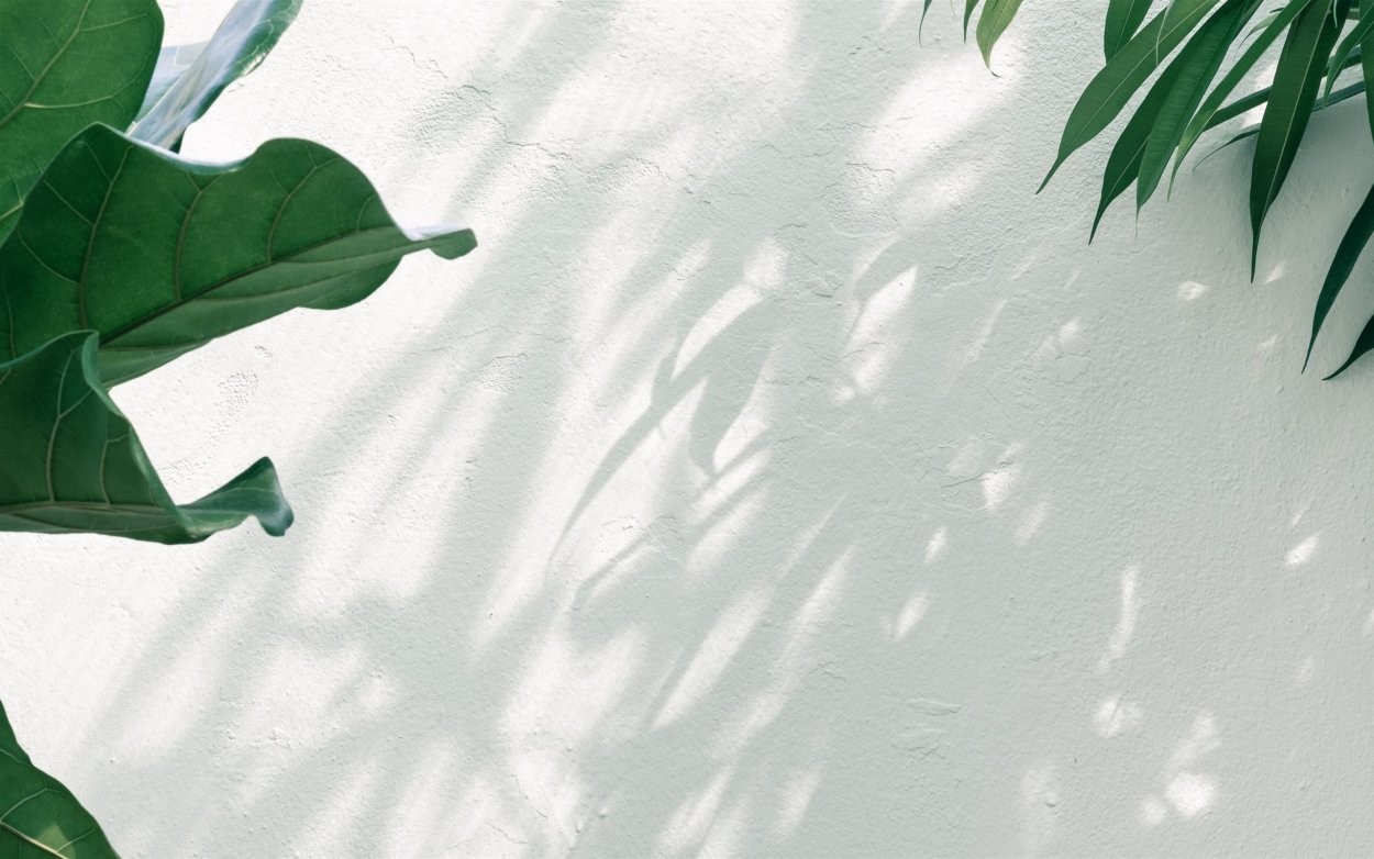 Пихтовый зелёный (fir Green)