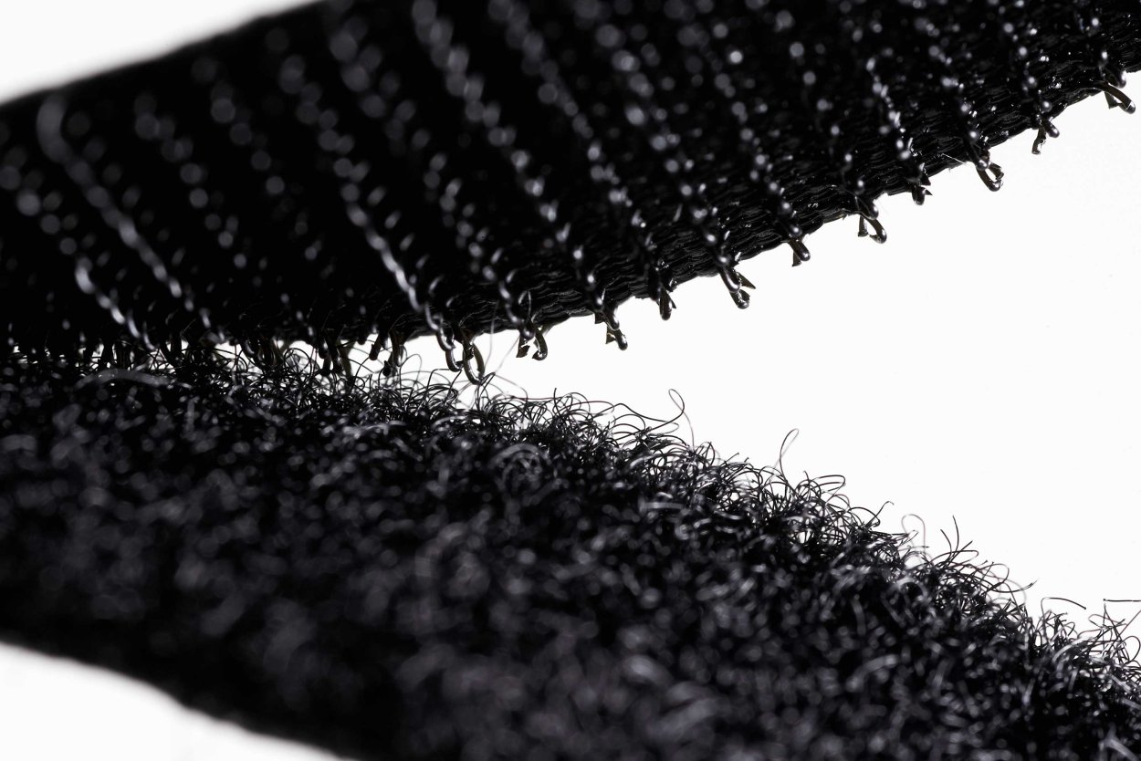 Многоножка обыкновенная Polypodium vulgare