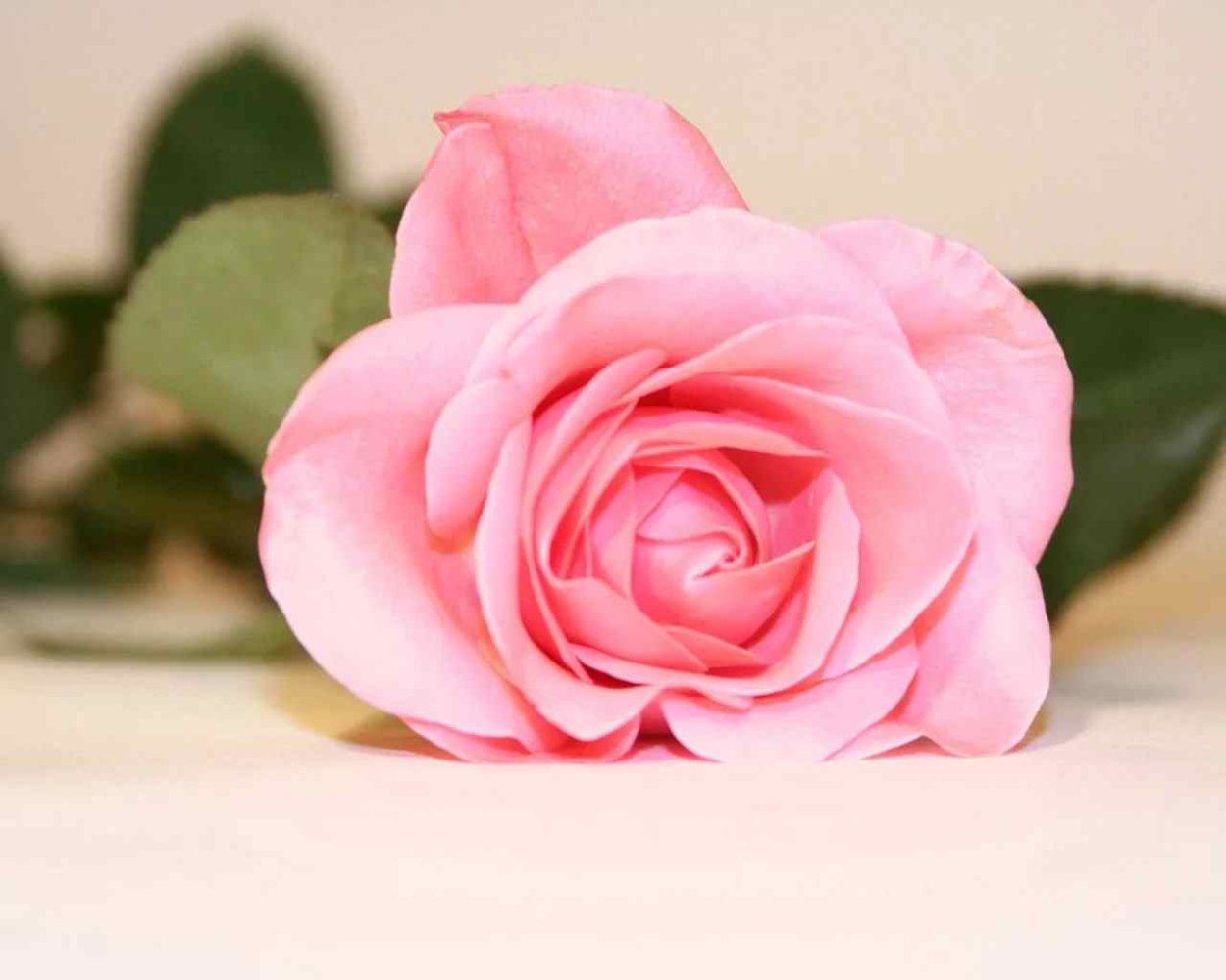 Шикарный букет цветов