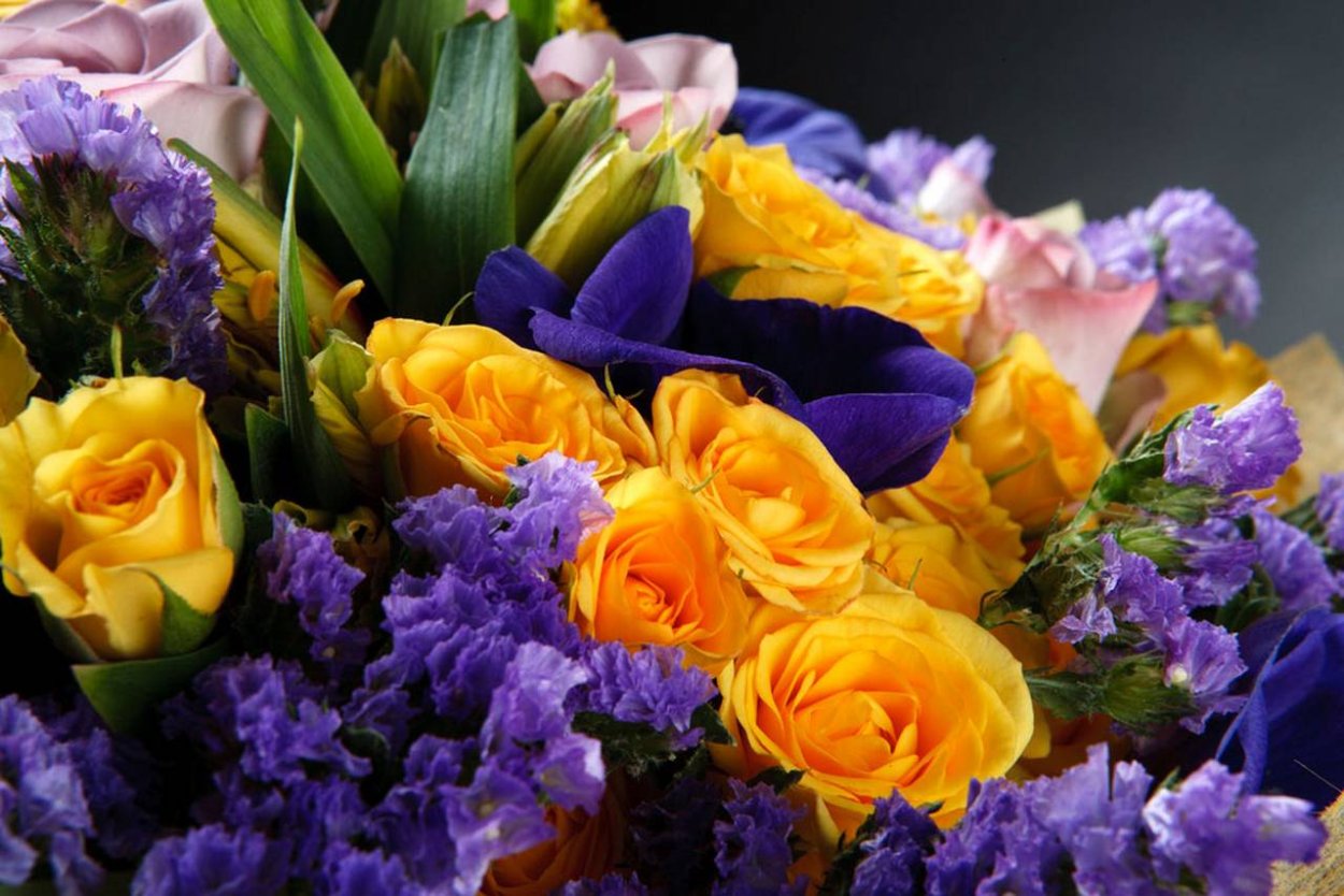 Желто синие цветы