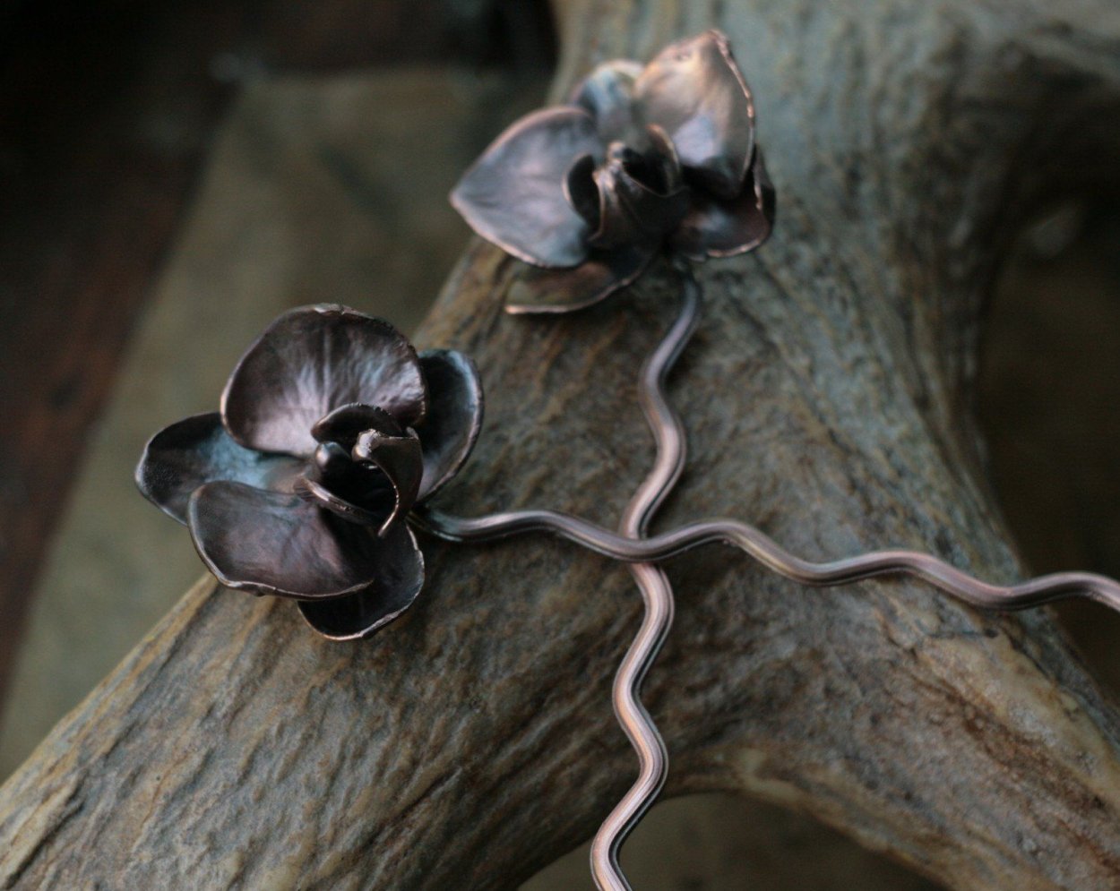 Анютины глазки черные