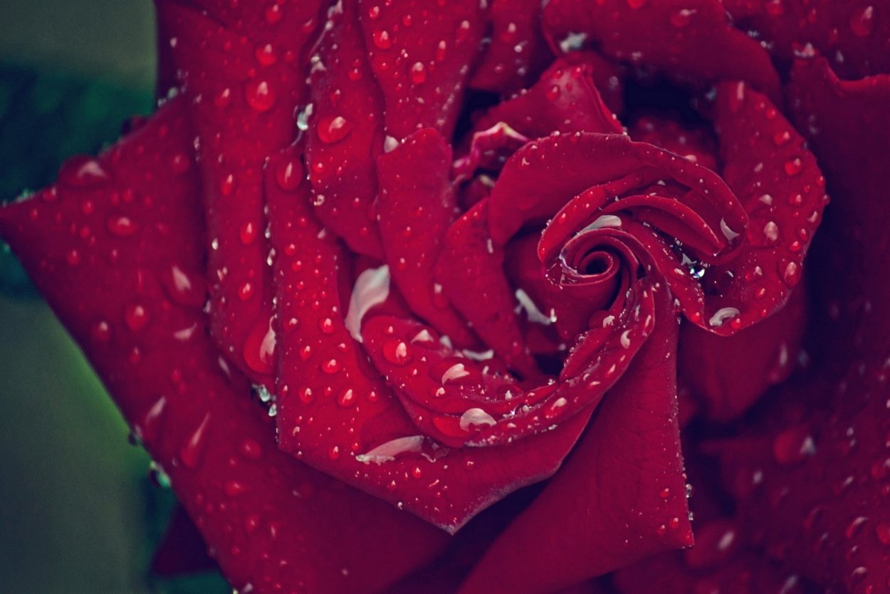 Красивый красный цвет