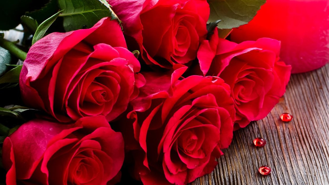 Цветы розы красные