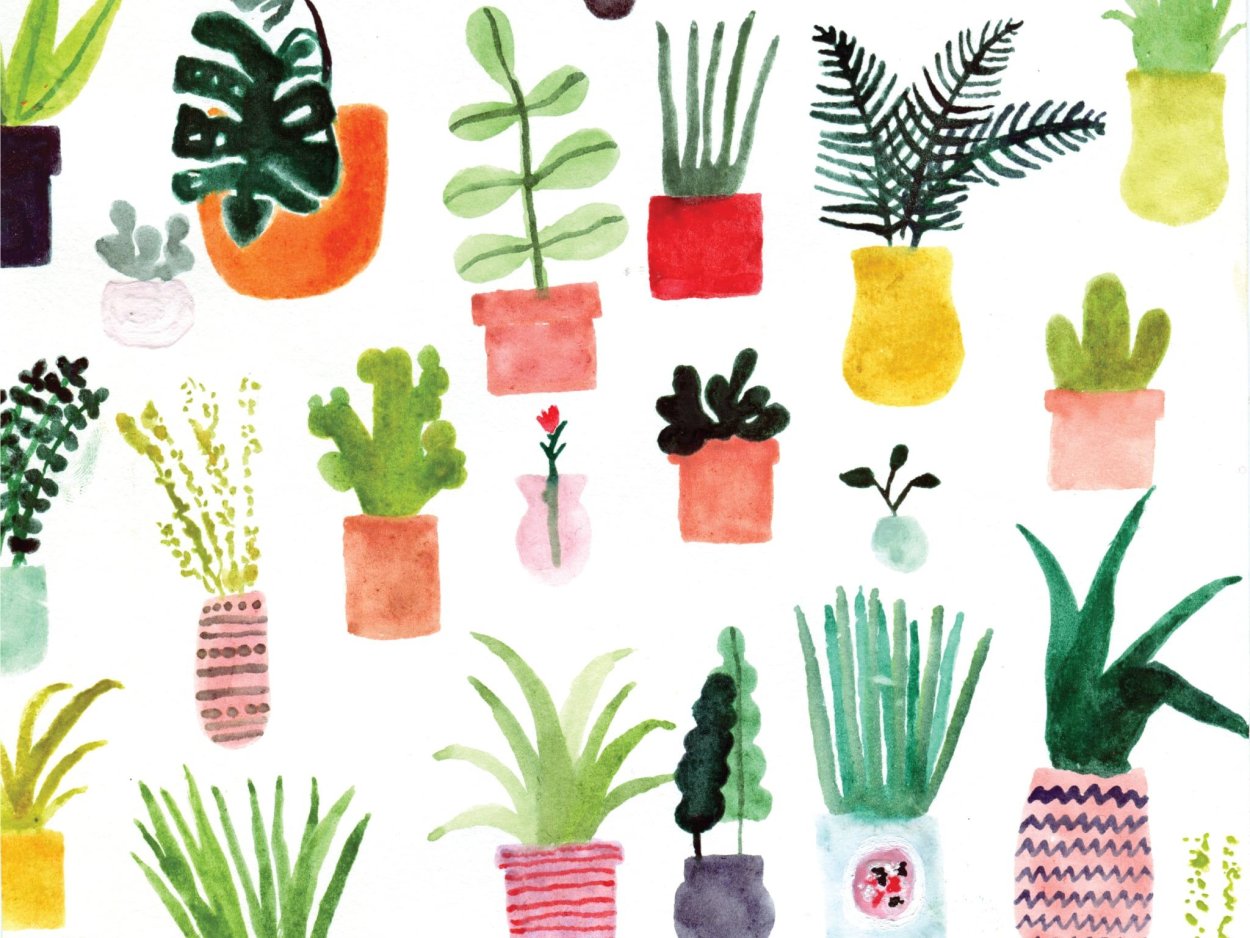 Обои на телефон аппликация