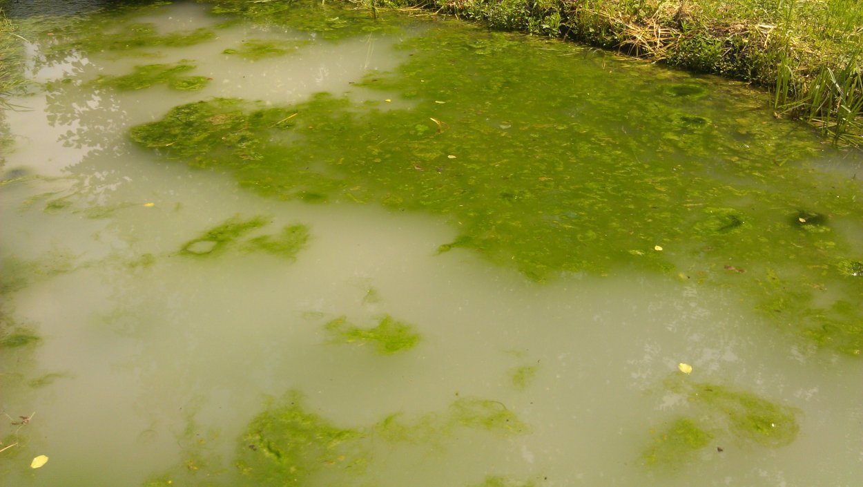 Озеро Тай Китай