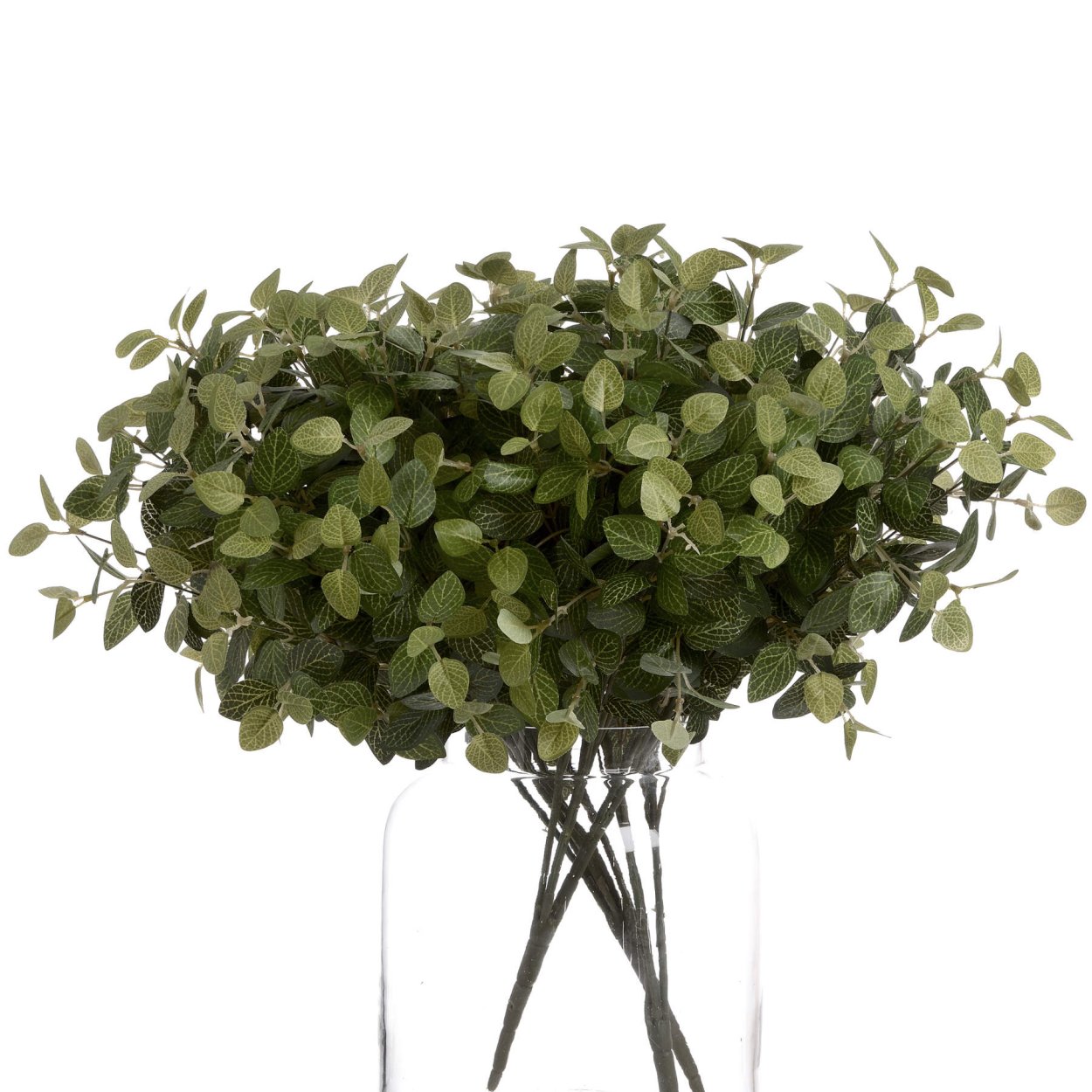 Хеба надписам кустарник