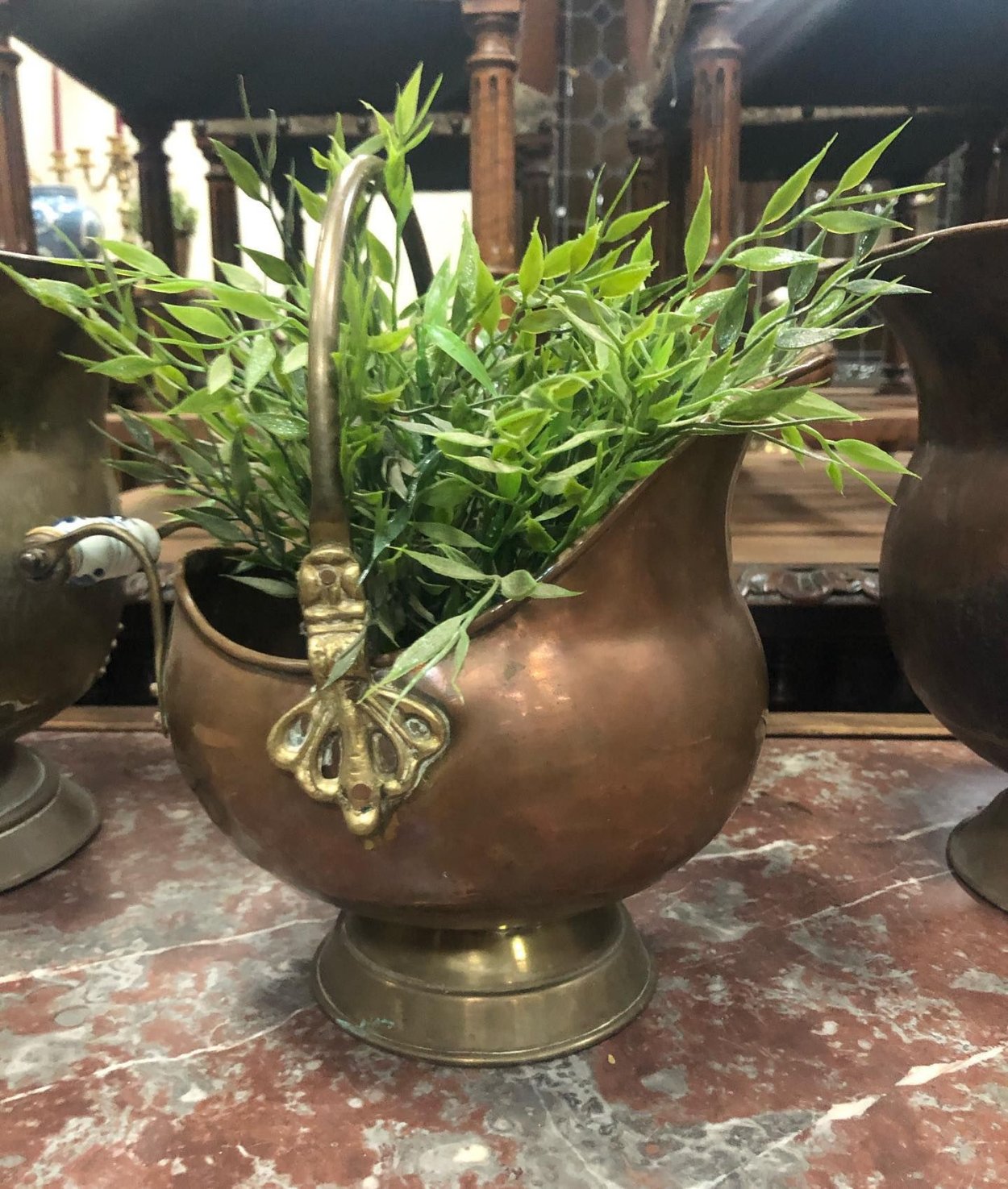 Тонколистные ксерофиты