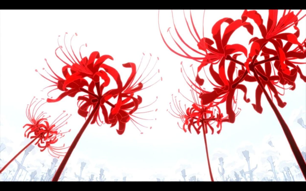 Лиловый ликорис