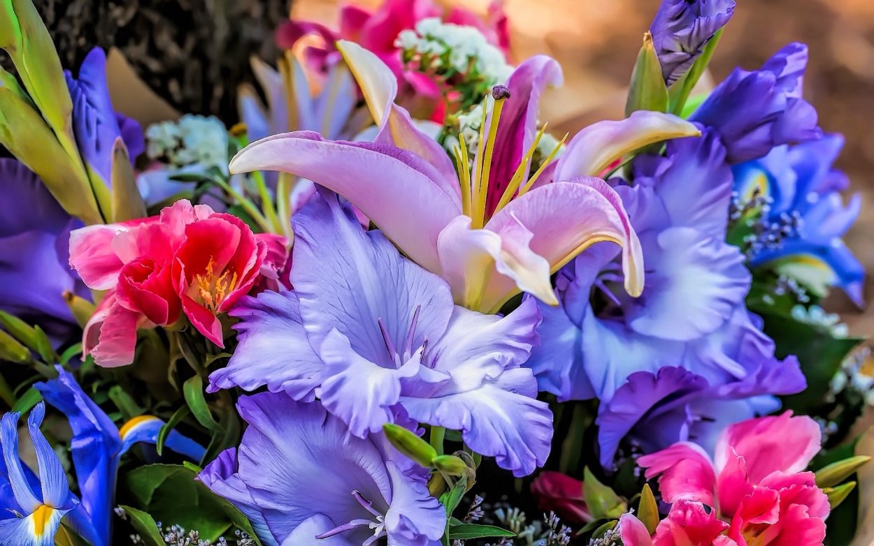 Хиганбана цветок аниме Токийский гуль