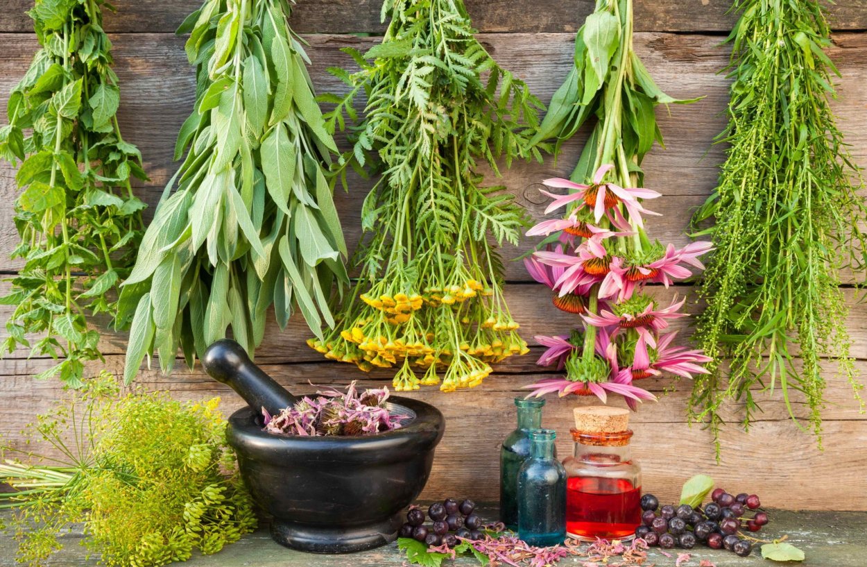 Лечебные травы