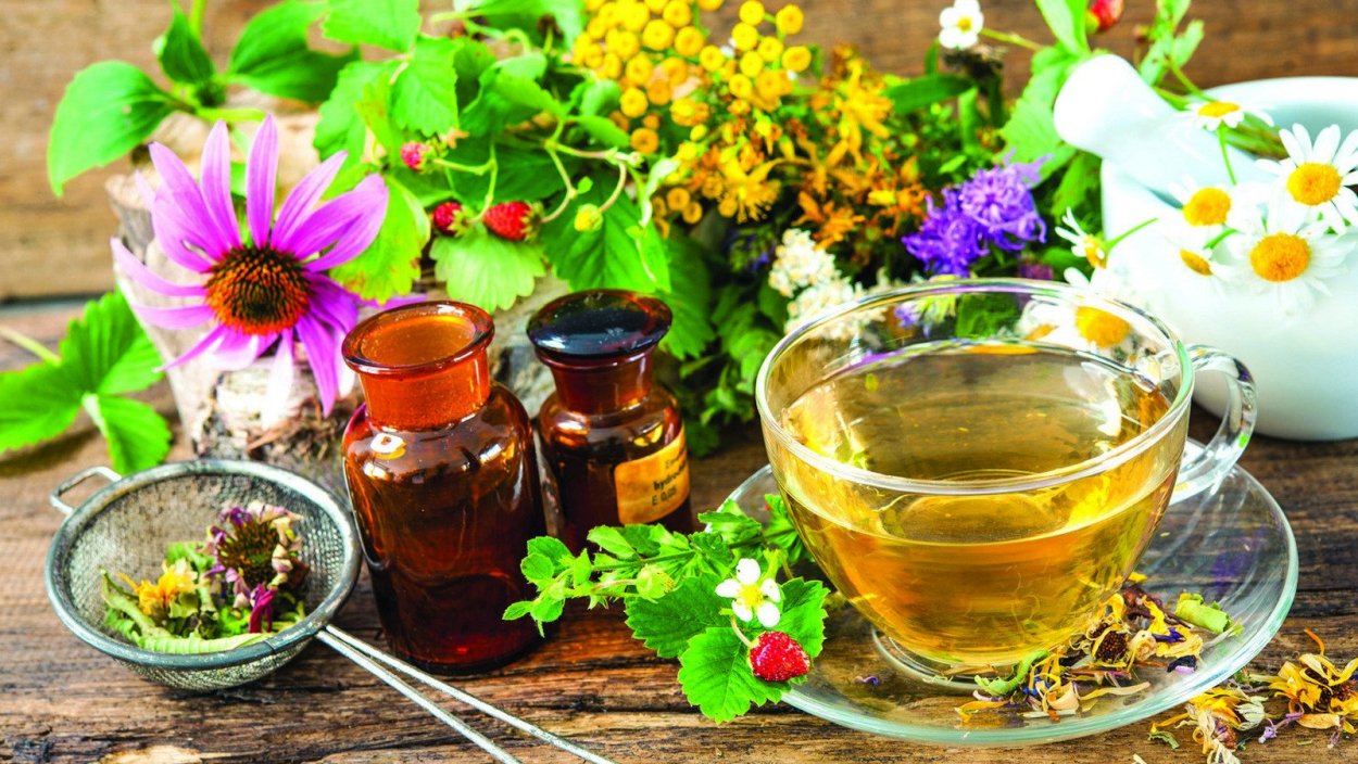 Целебные травы