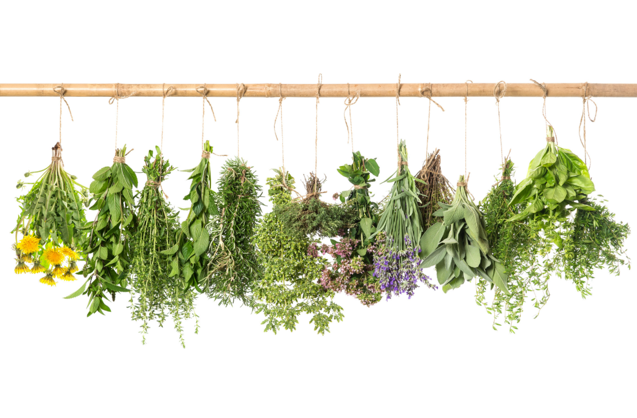 Шалфей эфиромасличный