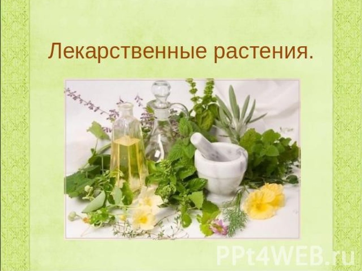 Эфирные масла на белом фоне