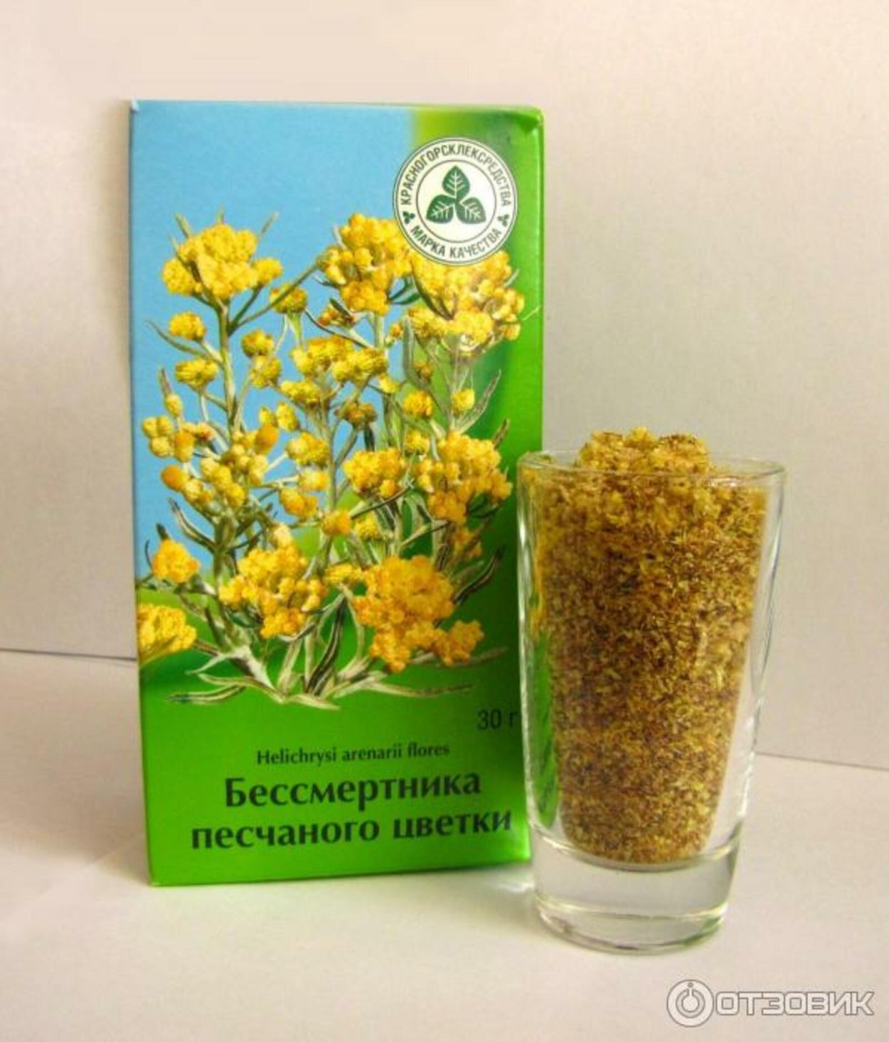 Растение бессмертник песчаный (цмин песчаный)